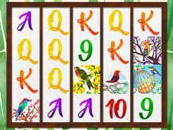 Birds & Blooms Slots